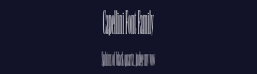 Capellini Font Family by Show Me Fonts — Serif Font — thumbnail 2