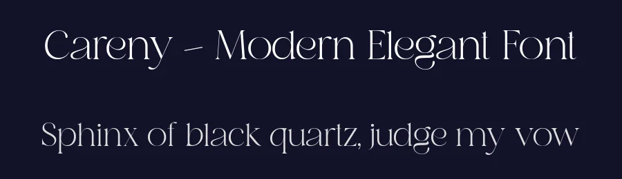 Careny – Modern Elegant Font by Salamahtype Studio — Sans Serif Font — thumbnail 2