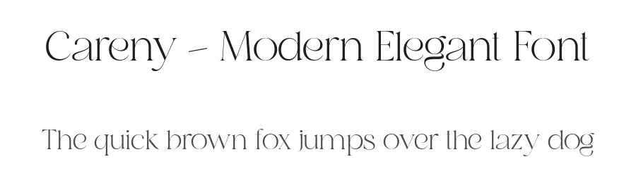 Careny – Modern Elegant Font by Salamahtype Studio — Sans Serif Font