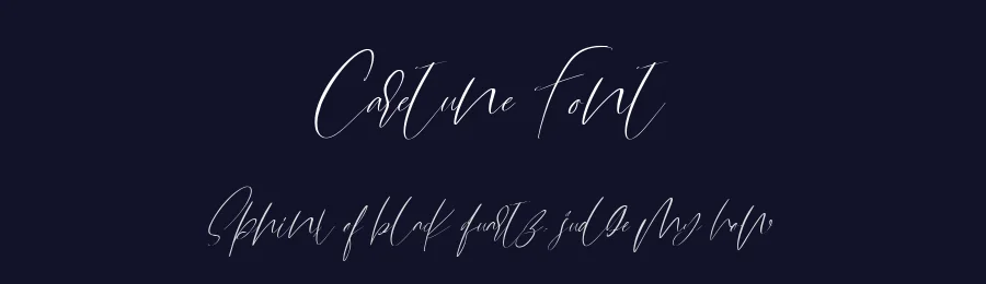 Caretune Font by metafontsy — Script Handwritten Font — thumbnail 2