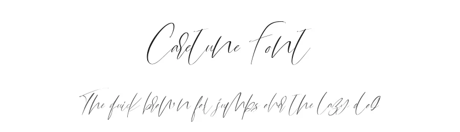 Caretune Font by metafontsy — Script Handwritten Font