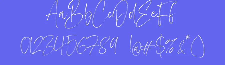 Carlinet Handwritten Font by Letteralle Studio — Script Handwritten Font — thumbnail 3