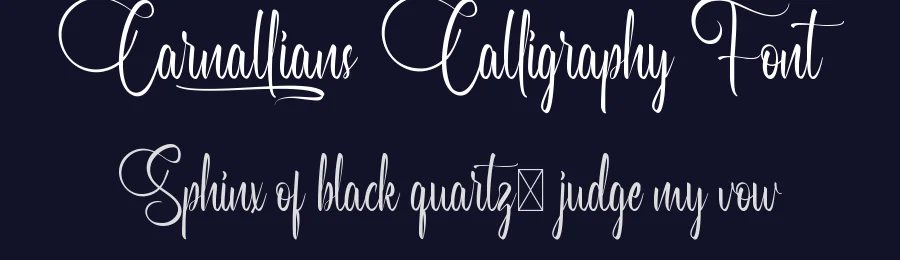 Carnallians Calligraphy Font by VinType — Script Handwritten Font — thumbnail 2