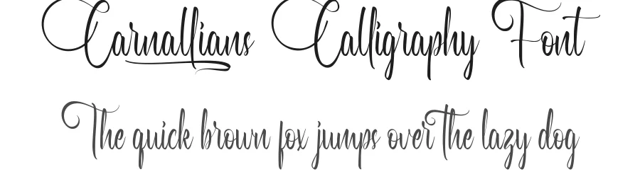 Carnallians Calligraphy Font by VinType — Script Handwritten Font