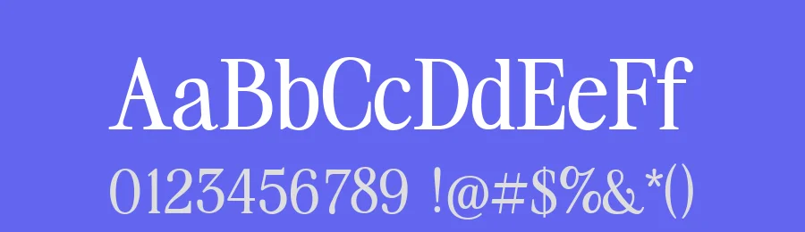 Caroline Serif Font by Dantype — Display Font — thumbnail 3