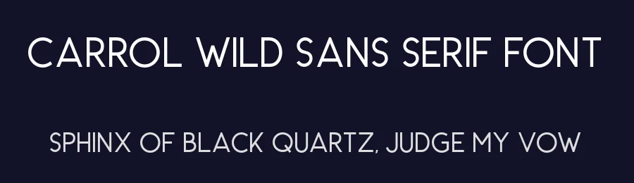 Carrol Wild Sans Serif Font by Saridezra — Sans Serif Font — thumbnail 2