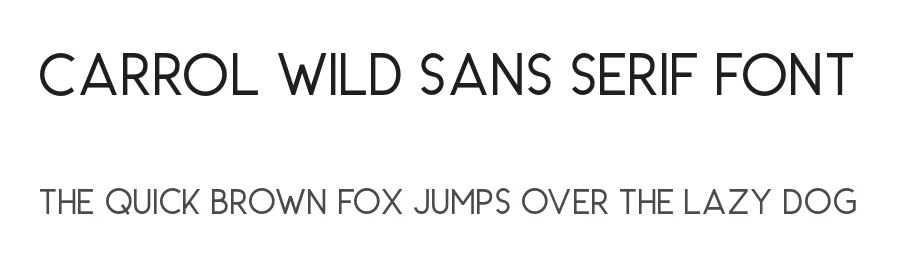 Carrol Wild Sans Serif Font by Saridezra — Sans Serif Font