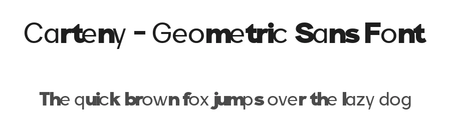 Carteny – Geometric Sans Font by Say Studio — Display Font