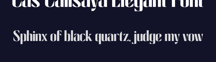 Cas Calisaya Elegant Font by Casloop Studio — Decorative Font — thumbnail 2