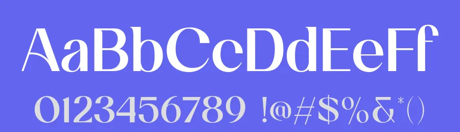 Cas Olgans Elegant Display Font by Casloop Studio — Decorative Font — thumbnail 3