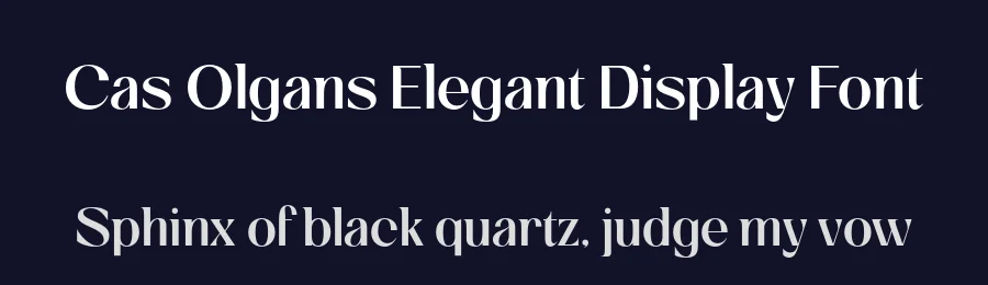 Cas Olgans Elegant Display Font by Casloop Studio — Decorative Font — thumbnail 2