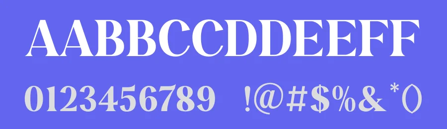 Casley Font by TypeLogue — Serif Font — thumbnail 3