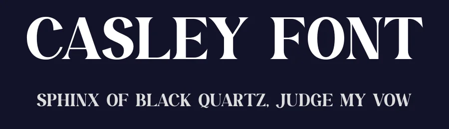 Casley Font by TypeLogue — Serif Font — thumbnail 2