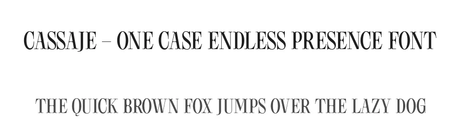 Cassaje – One Case Endless Presence Font by Casloop Studio — Decorative Font