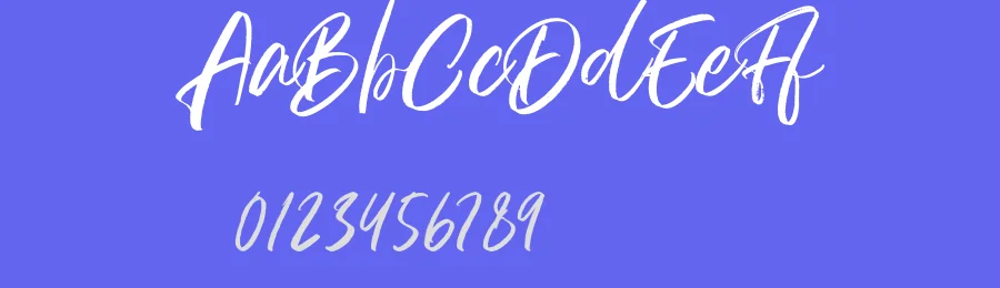 Cassana Rustin Font by Lettermine — Serif Font — thumbnail 3