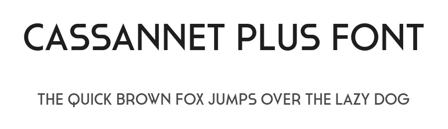 CASSANNET PLUS FONT by atipo β Sans Serif Font