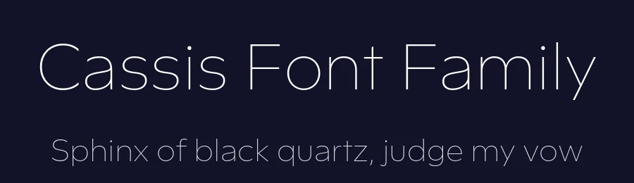 Cassis Font Family by Nina Stössinger — Sans Serif Font — thumbnail 2