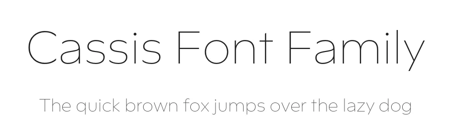Cassis Font Family by Nina Stössinger — Sans Serif Font