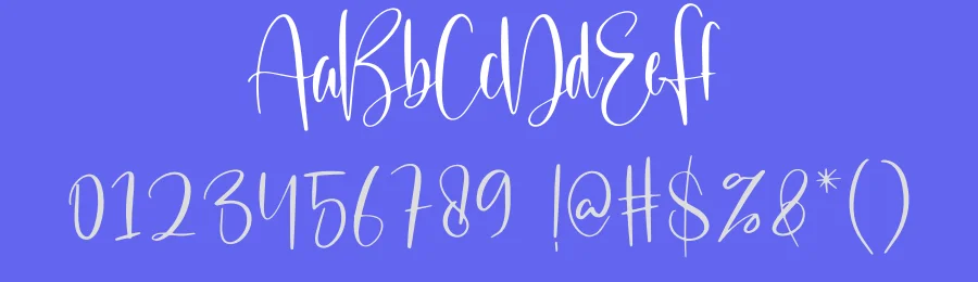 Castle Script Font by creativeletter — Script Handwritten Font — thumbnail 3