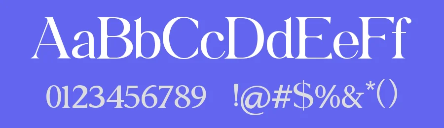 Catalina Rayden Serif Font by UICreative — Serif Font — thumbnail 3