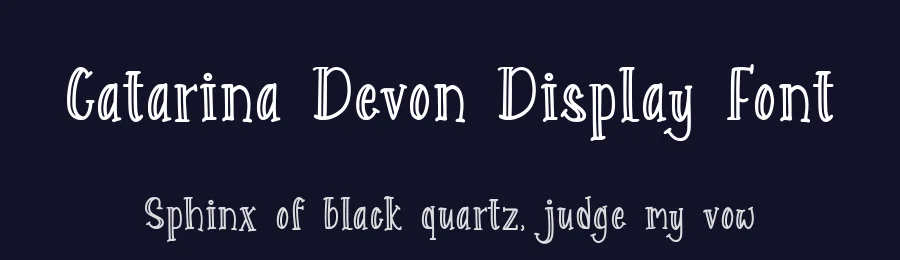 Catarina Devon Display Font by Allouse.Studio — Script Handwritten Font — thumbnail 2