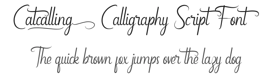 Catcalling Calligraphy Script Font by CalligraphyFonts.net — Script Handwritten Font