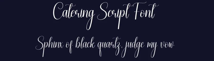 Catering Script Font by creativeletter — Script Handwritten Font — thumbnail 2
