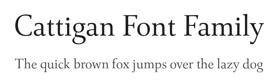 Cattigan Font Family by Hoftype — Serif Font