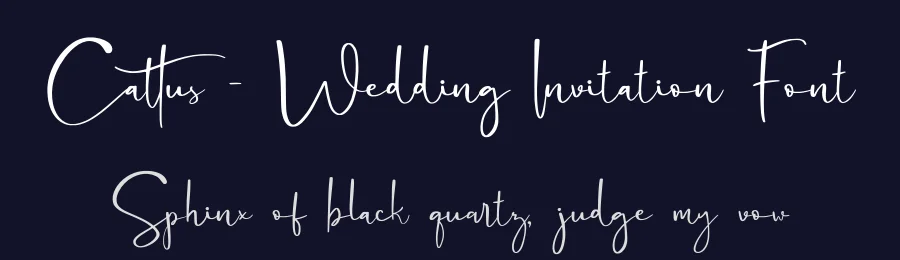 Cattus – Wedding Invitation Font by craftsupplyco — Script Handwritten Font — thumbnail 2