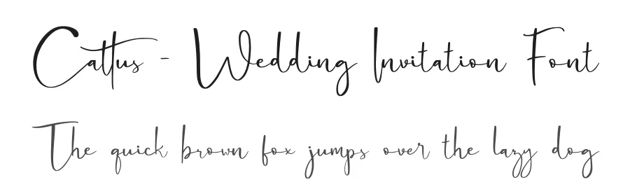 Cattus – Wedding Invitation Font by craftsupplyco — Script Handwritten Font