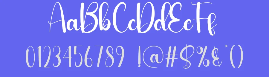 Catty Script Font by andikastudio — Script Handwritten Font — thumbnail 3