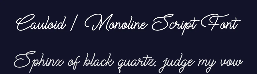 Cauloid | Monoline Script Font by Gracetypestudio — Script Handwritten Font — thumbnail 2