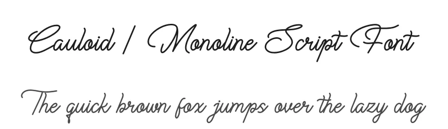 Cauloid | Monoline Script Font by Gracetypestudio — Script Handwritten Font