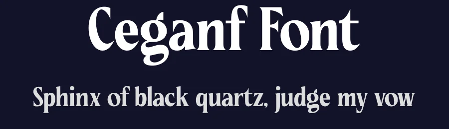 Ceganf Font by timelesstype.co — Serif Font — thumbnail 2