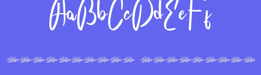 Celeb Author Font by VinType — Script Handwritten Font — thumbnail 3