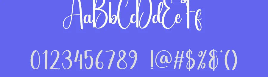 Celebration Script Font by creativeletter — Script Handwritten Font — thumbnail 3