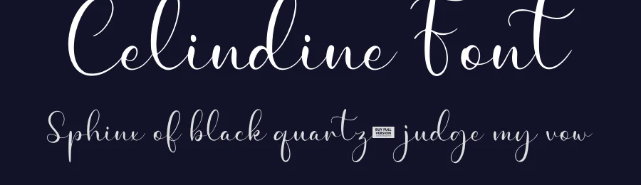 Celindine Font by Anxietype Foundry — Script Handwritten Font — thumbnail 2