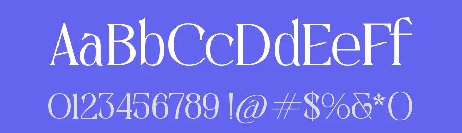 Celineso Aroma – Elegant Serif Font by timelesstype.co — Display Font — thumbnail 3