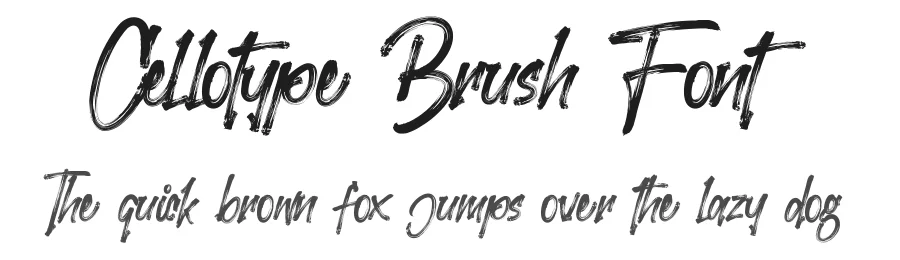Cellotype Brush Font by Opand β Script Handwritten Font