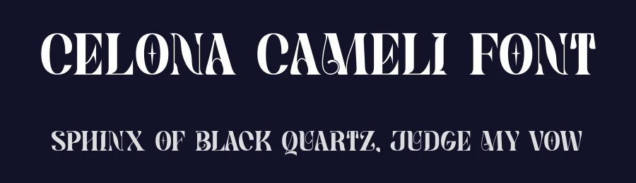 Celona Cameli Font by SlideShoot — Serif Font — thumbnail 2