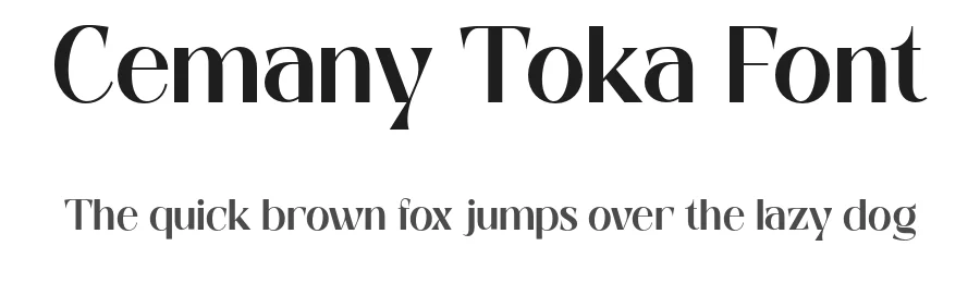 Cemany Toka Font by Gian Studio — Sans Serif Font