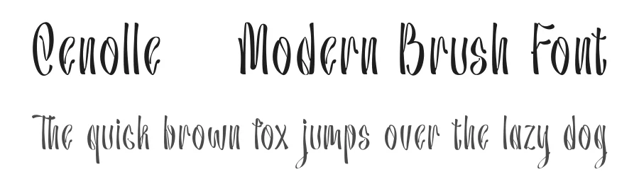 Cenolle – Modern Brush Font by Type Class Heroes — Script Handwritten Font