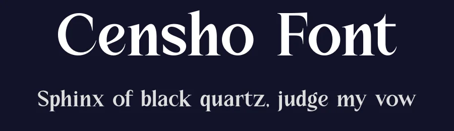 Censho Font by MaikoHatta — Serif Font — thumbnail 2