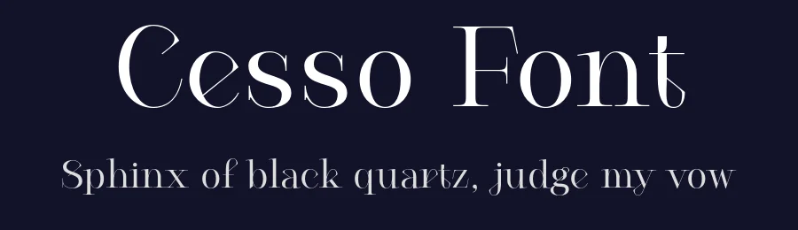 Cesso Font by That That Creative — Serif Font — thumbnail 2