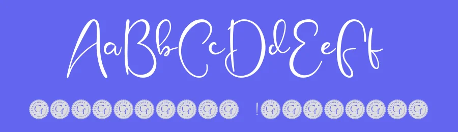 CF Tyshira Elyne Font by Creatifontstudios — Script Handwritten Font — thumbnail 3