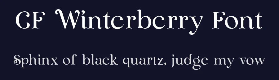 CF Winterberry Font by Creatifont Studios — Display Font — thumbnail 2