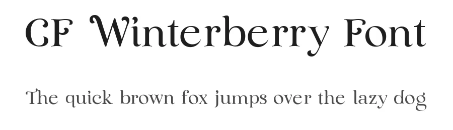 CF Winterberry Font by Creatifont Studios — Display Font