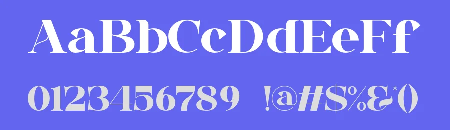 Chalsse Font by ErmediaStudio — Serif Font — thumbnail 3