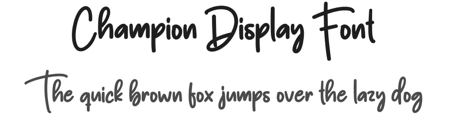 Champion Display Font by creativeletter — Script Handwritten Font