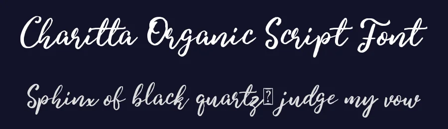 Charitta Organic Script Font by Lettersiro — Script Handwritten Font — thumbnail 2